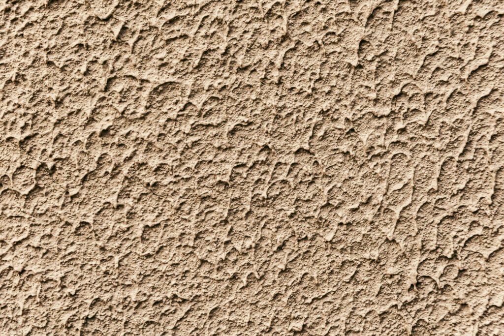 Stucco Crocodile Color