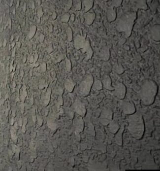 ลายปาดใหญ่