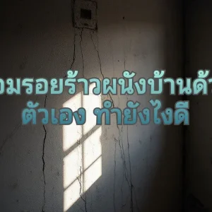 รอยแตกร้าวที่ผนัง