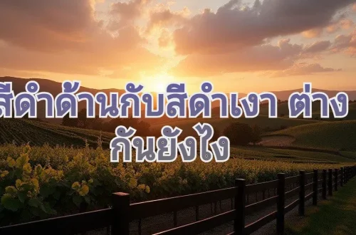 รั้วดำด้าน