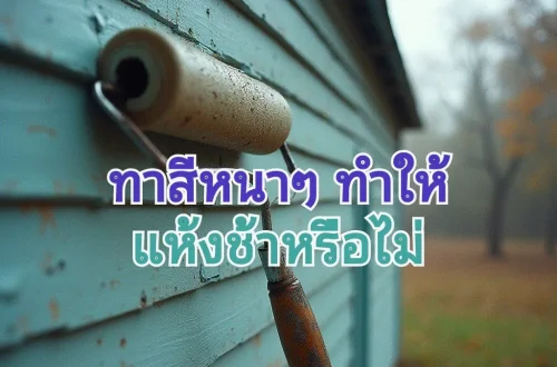 ทาสีบ้านหนา