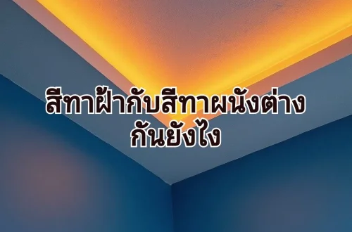 สีทาฝ้า กับ สีทาผนัง