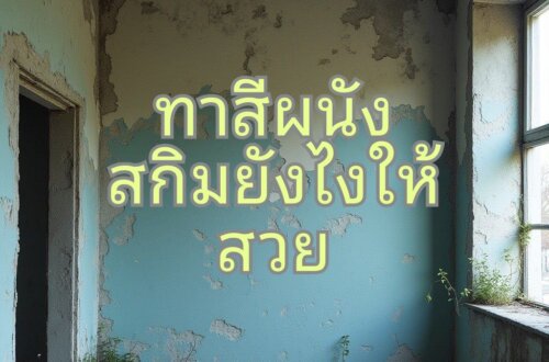ทาสีบนสกิม