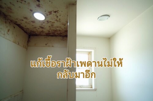 การแก้เชื้อราในอนาคต
