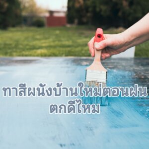 ทาสีหน้าฝน เป็นแบบไหน