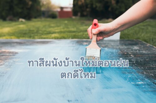 ทาสีหน้าฝน เป็นแบบไหน