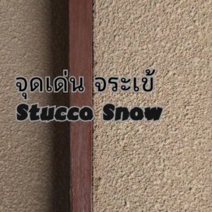 stucco จุดเด่น