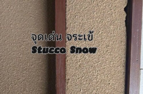 stucco จุดเด่น