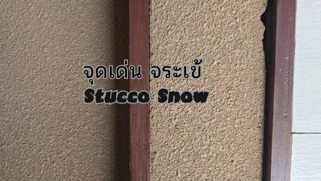 stucco จุดเด่น