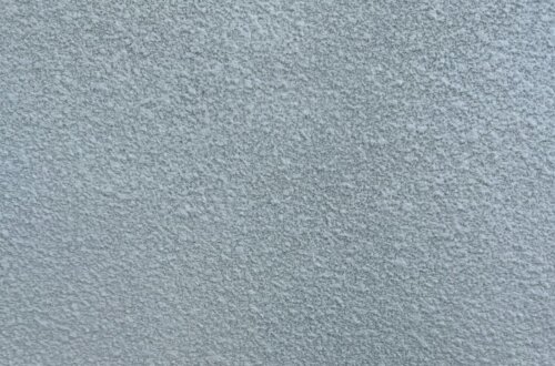 ลายใข่ปลา โรงไฟฟ้า