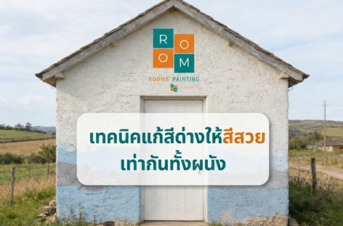 บ้านสีด่างเป็นยังไง
