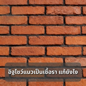 อิฐโชว์ลาย