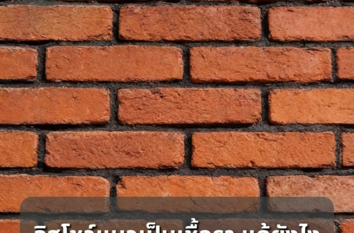 อิฐโชว์ลาย
