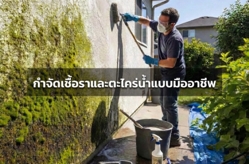 กำจัดตะไคร่น้ำ