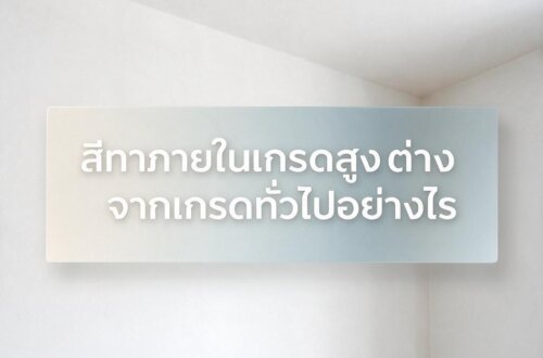 สีทาภายในฝ้าเพดาน